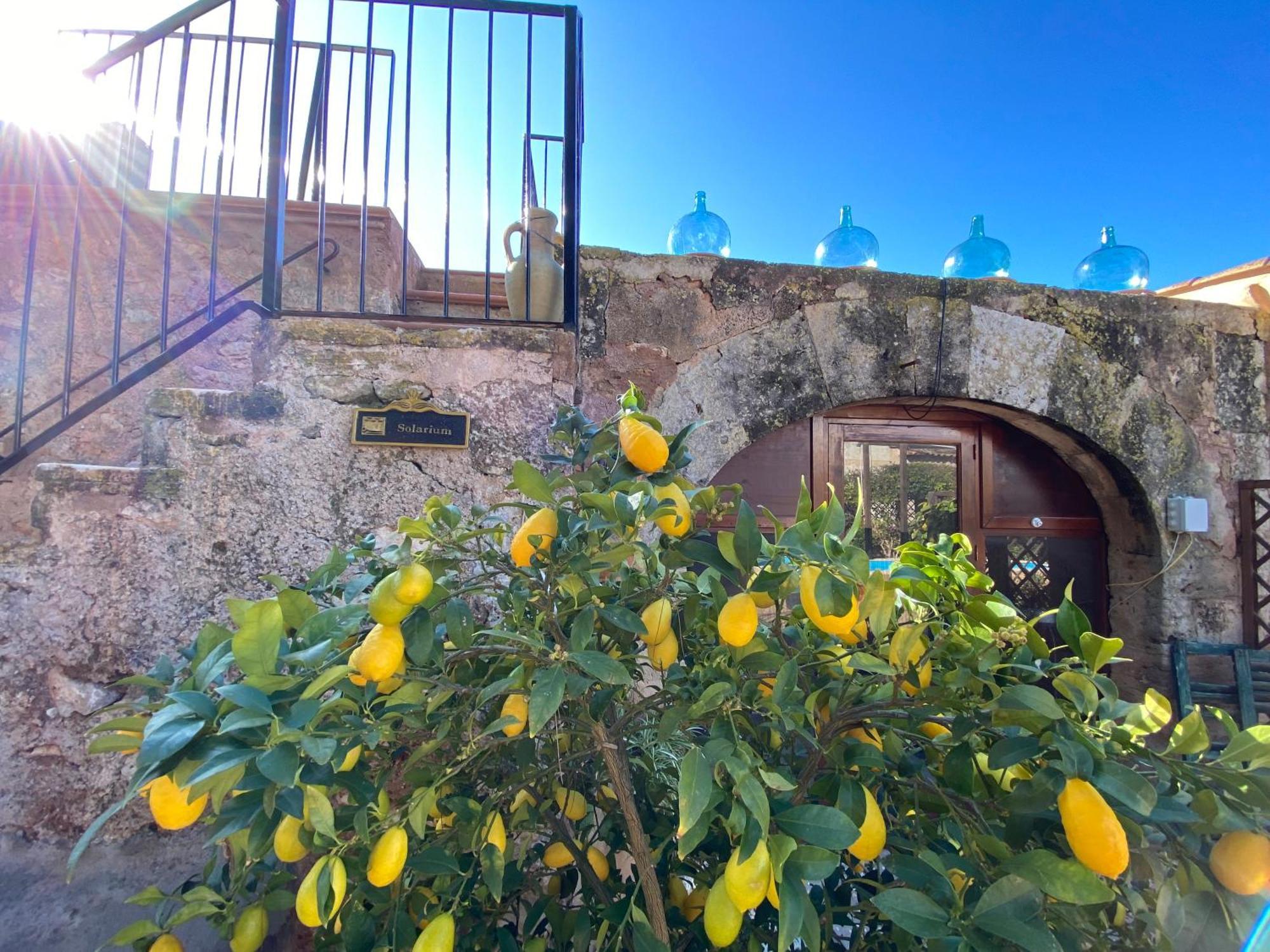 Finca Sa Canova Agroturismo Кампос Экстерьер фото